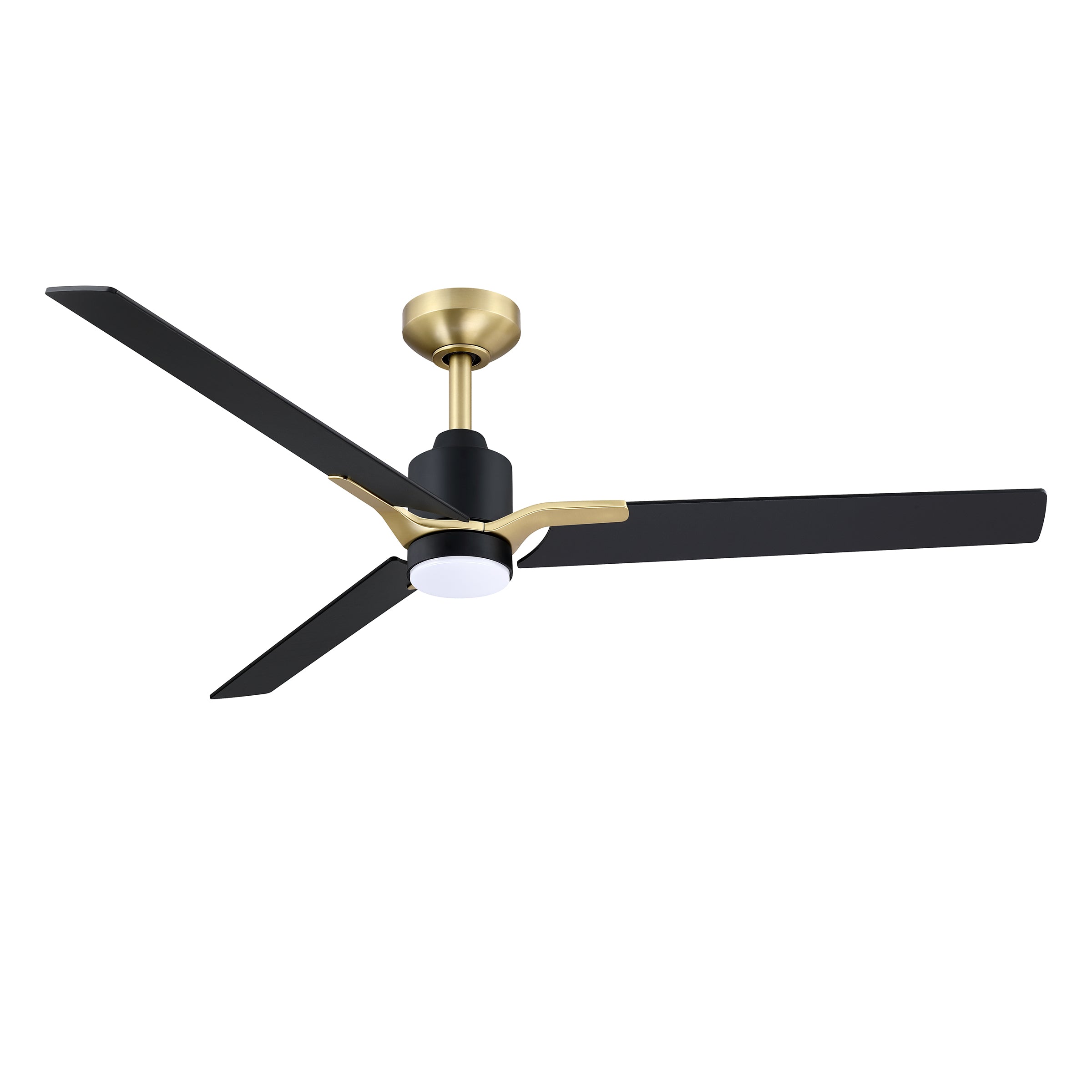 AC40152-BLK/BRS
