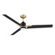AC40152-BLK/BRS