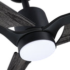 AC40152-BLK/DSB