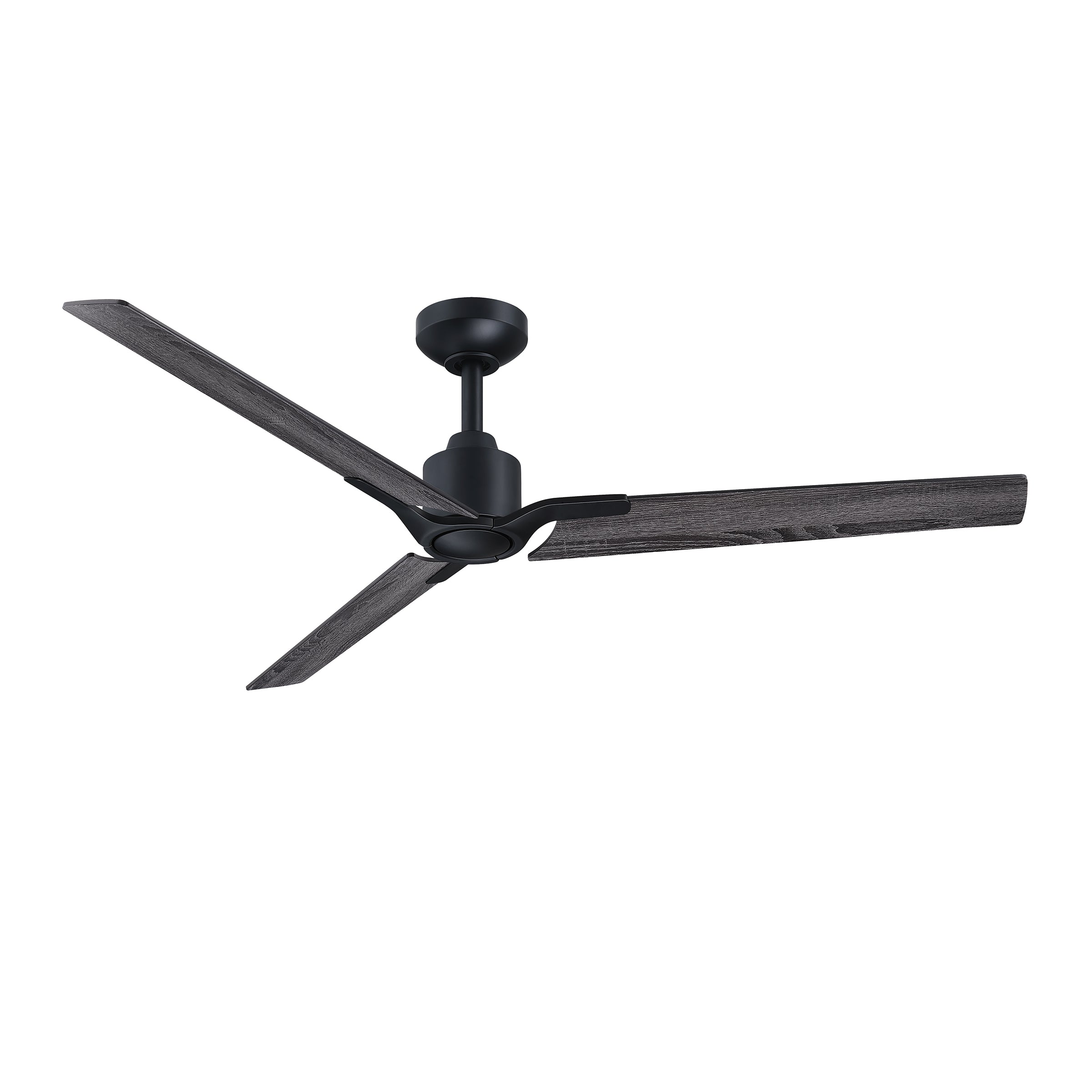 AC40152-BLK/DSB