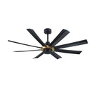 AC40560-BLK/OCB