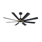 AC40560-BLK/OCB
