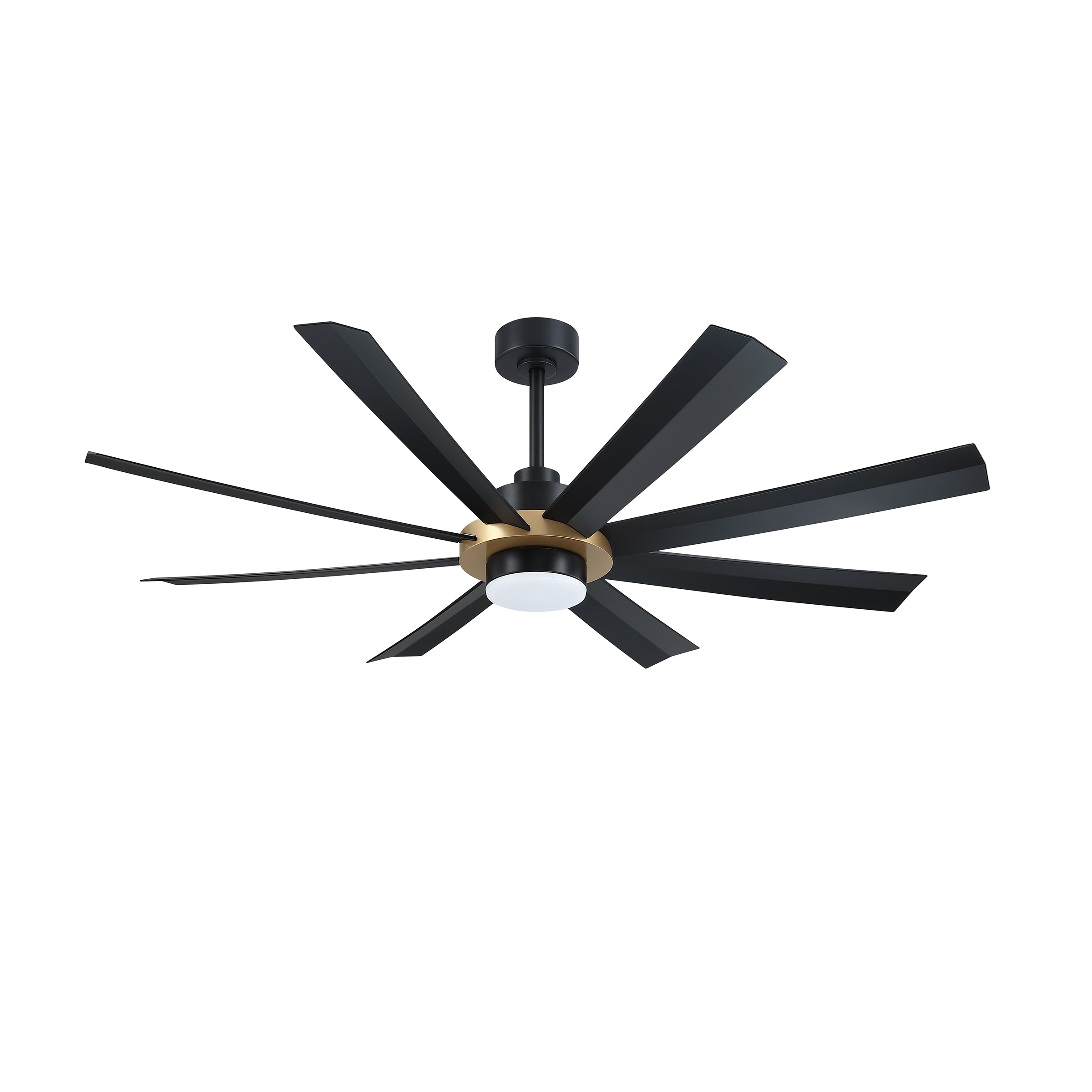 AC40560-BLK/OCB