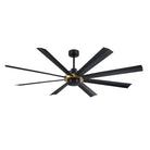 AC40572-BLK/OCB