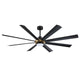 AC40572-BLK/OCB
