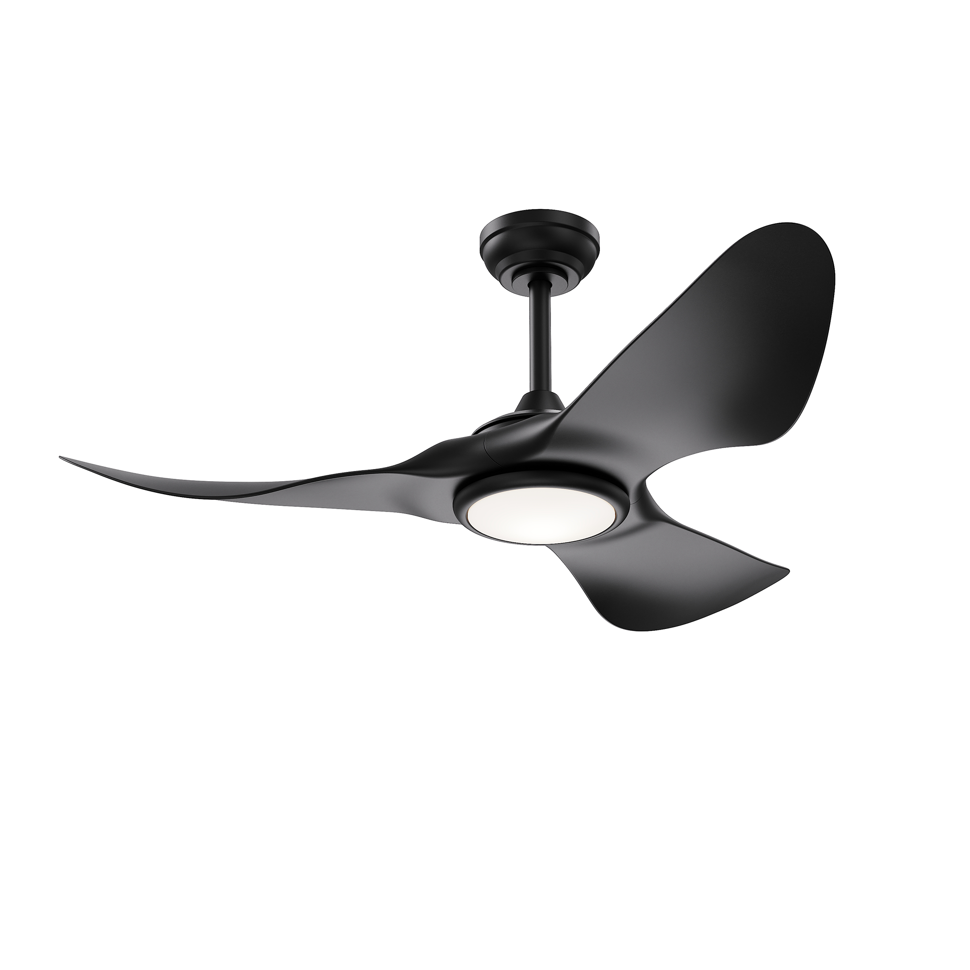 AC40952-BLK