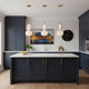 Cyra 1-Light Double Shade Pendant