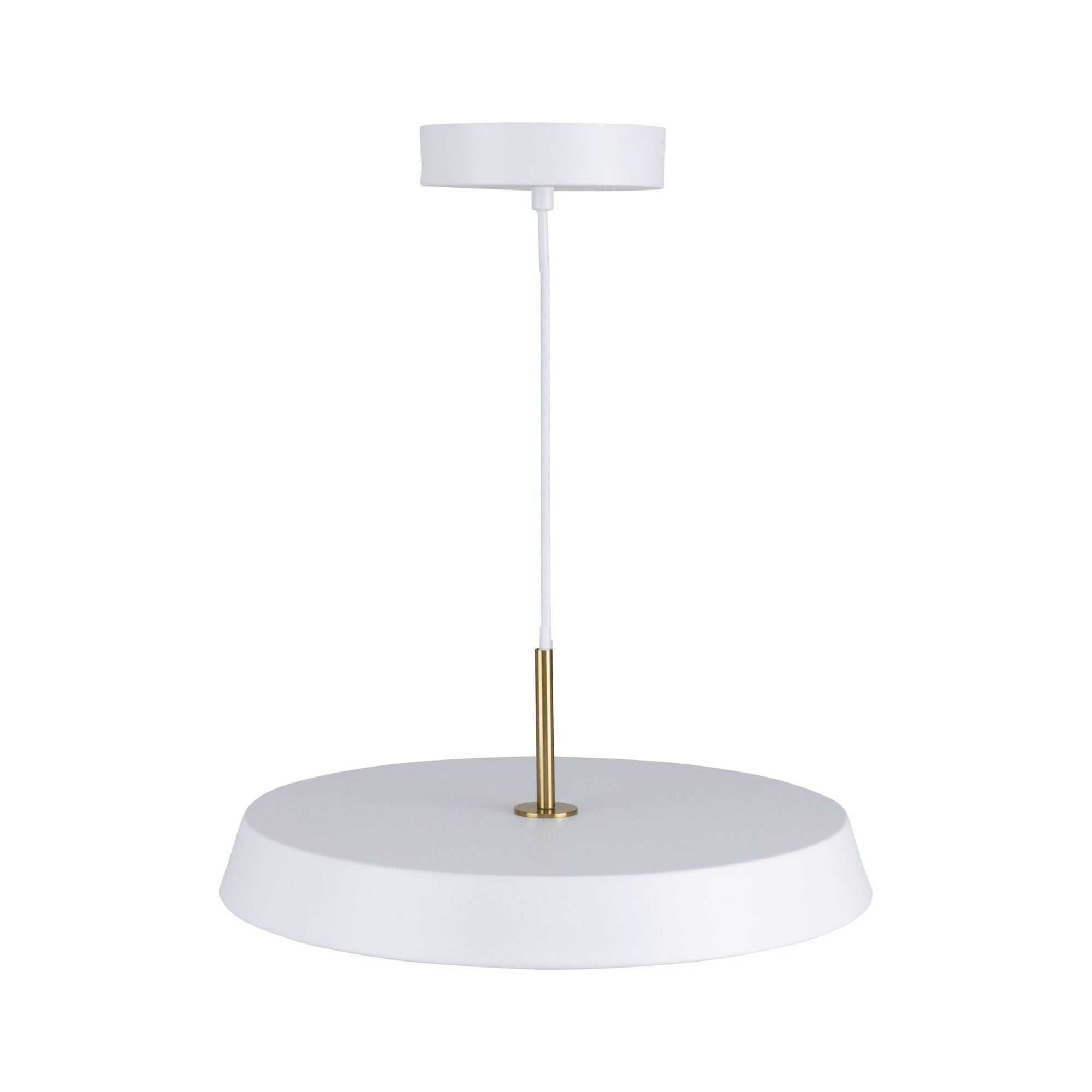 Lexi 1-Light 12" Pendant