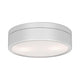 Core 2" LED Flush Mount