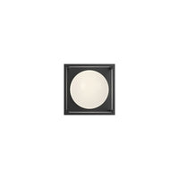 Amelia 6" 1-Light Exterior Wall Sconce