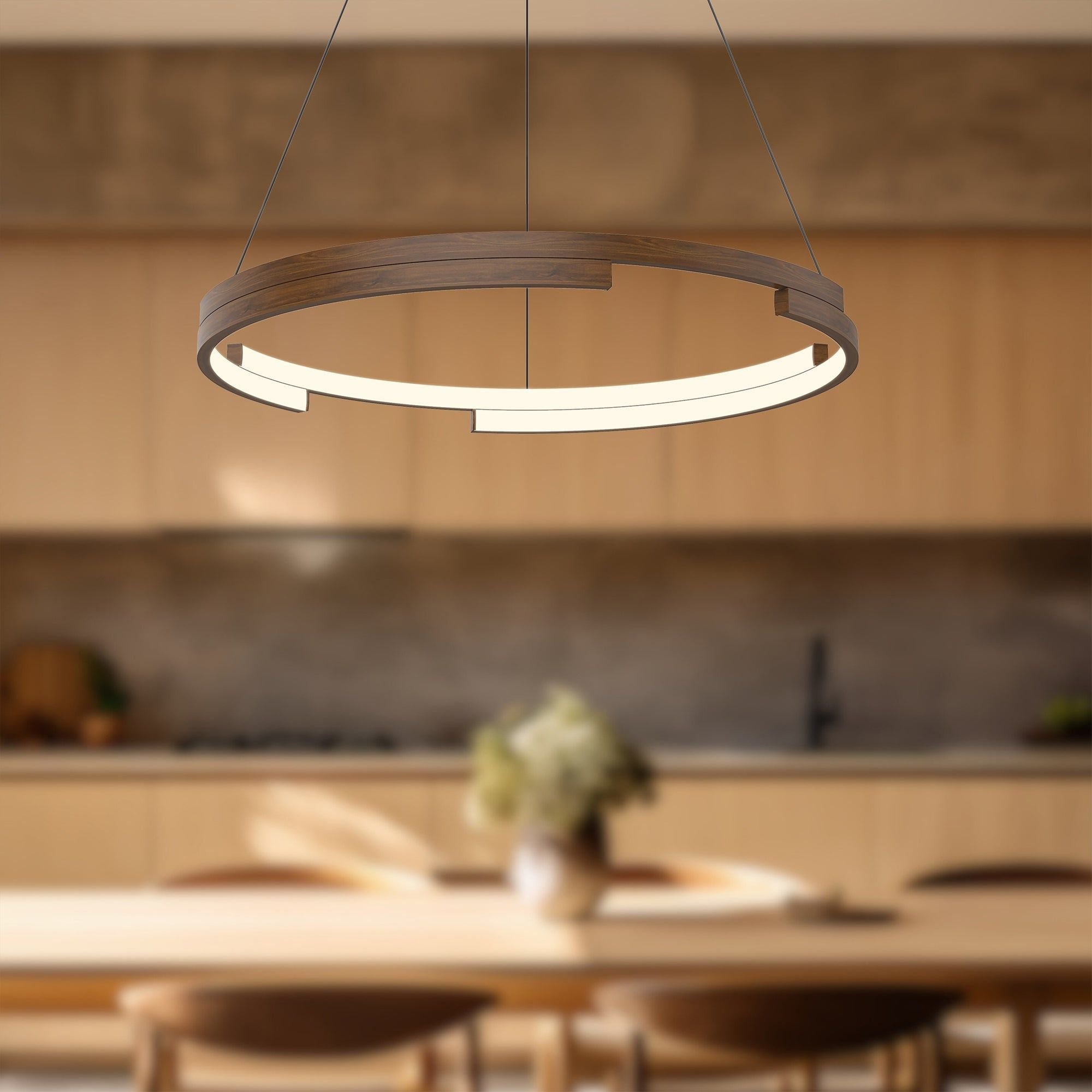 Anello Minor 24" LED Pendant