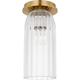 Asalea Monopoint Flush Mount
