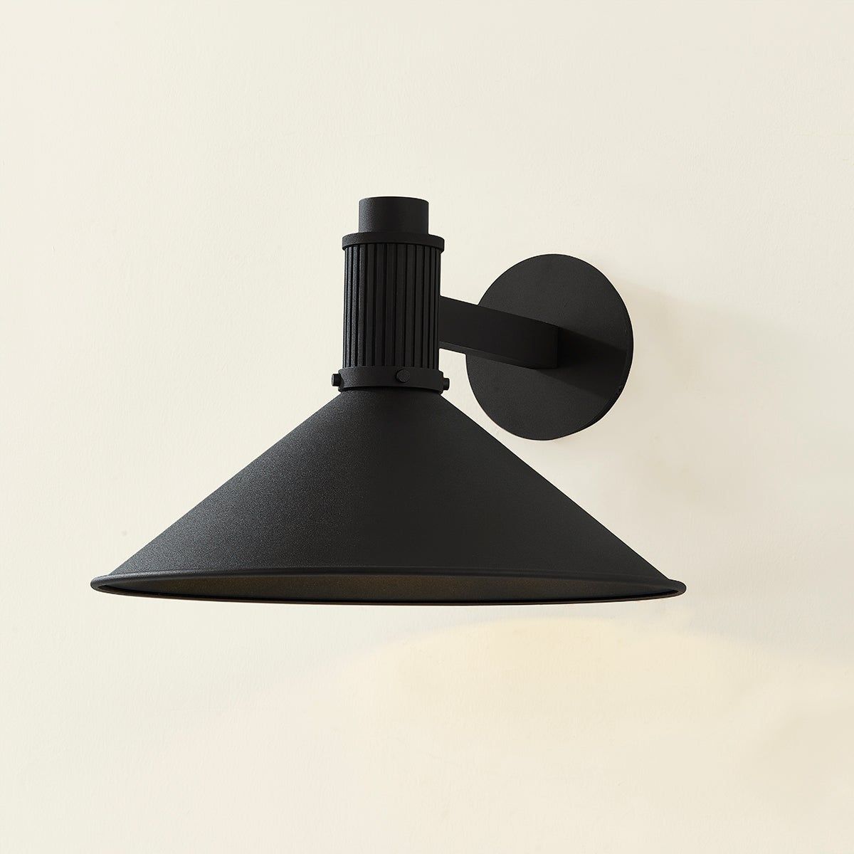 Elani 1-Light Exterior Wall Sconce