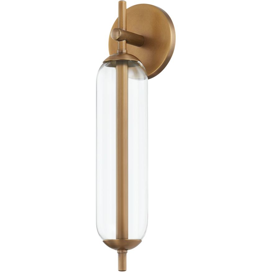 Blaze 1-Light Exterior Wall Sconce