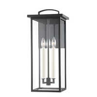 Eden Exterior Wall Sconce