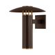 Birk 1-Light Outdoor Wall Sconce