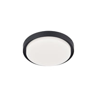 Bailey LED Exterior Ceiling