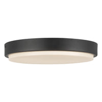 Bailey 11" LED Outdoor Ceiling Light