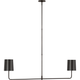 Go Lightly 54" Two Light Linear Chandelier