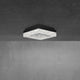 Whisper 12" LED Flush Mount