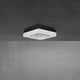 Whisper 12" LED Flush Mount