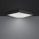 Wisteria 12" LED Flush Mount