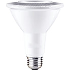 BL10PAR30FT120V30