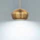 Astral 13" LED Pendant