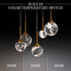 Quest 5-Light LED Multi-Light Pendant