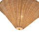 PD497016BGRA