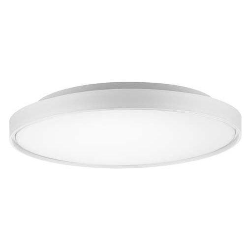 Brunswick 22" Flush Mount