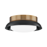 Arnie Flush Mount