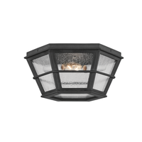 Lake County Exterior Flush Mount