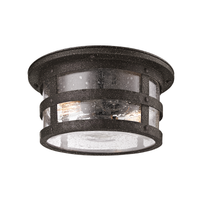 Barbosa Exterior Flush Mount