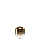C37401AGAG