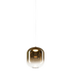 C37401AGAG