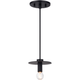 Kasa 1-Light Pendant