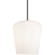 Charismo 1-Light Pendant
