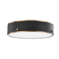 Eli Flush Mount