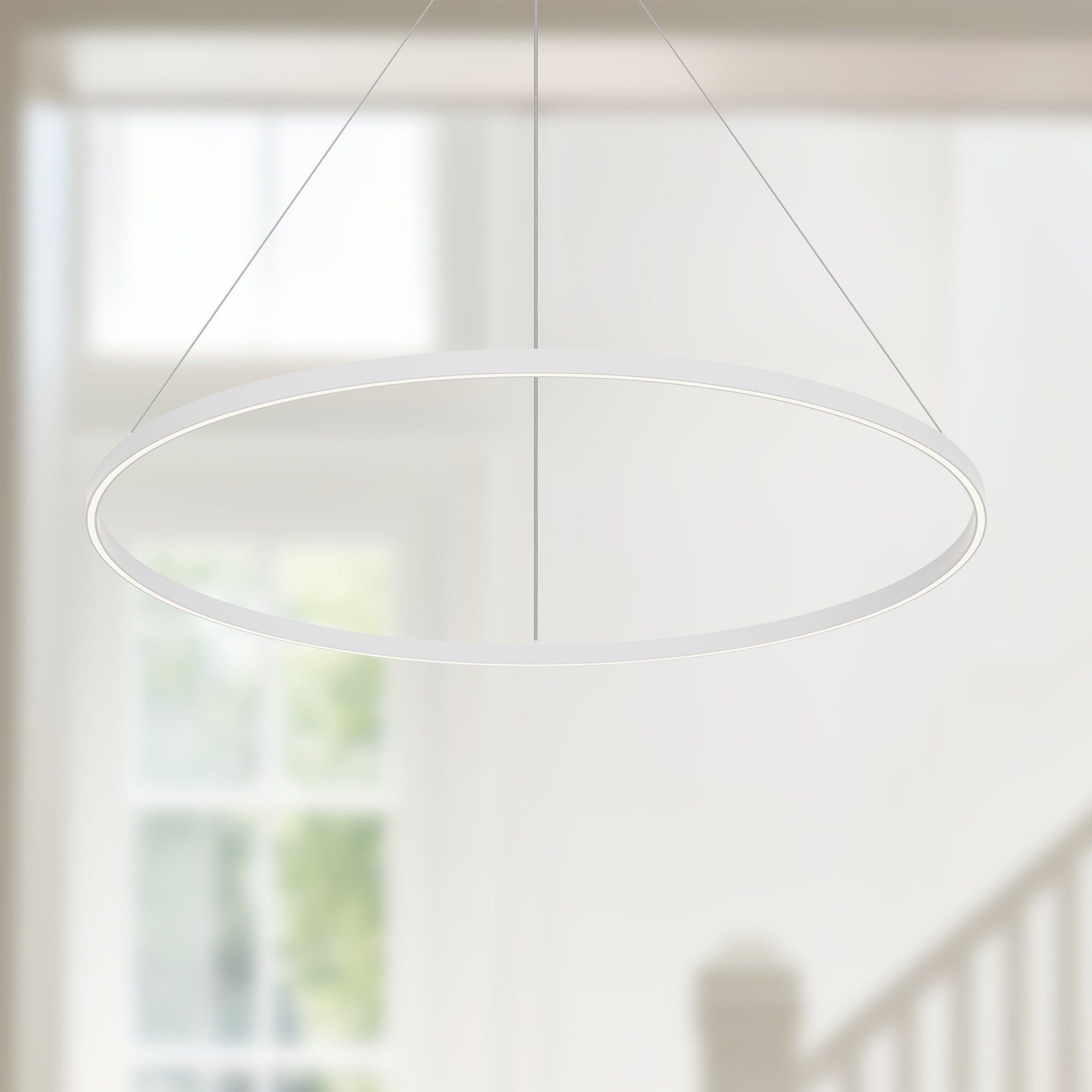 Cerchio 48" Down Pendant