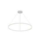 PD87748-WH
