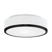 Charlie 12" 2-Light Flush Mount
