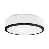 Charlie 12" Flush Mount