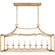 Fancy Darlana Large Linear Pendant
