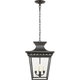 Elsinore Medium Hanging Lantern