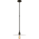 Parkington 14" Pendant