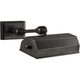 Dorchester 8" Picture Light