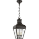 Fremont Medium Hanging Lantern