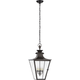 Albermarle Medium Hanging Lantern