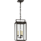 Cheshire Medium Hanging Lantern